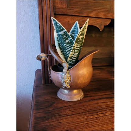 vasest väike tuhanõu