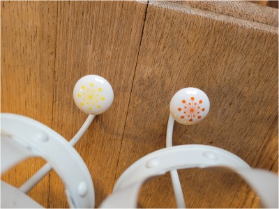 Nagi kroonikujuline - Image 3